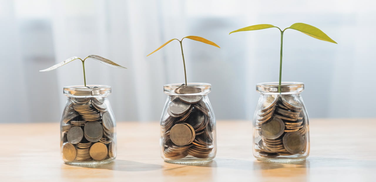 Plants growing in jar of coins.